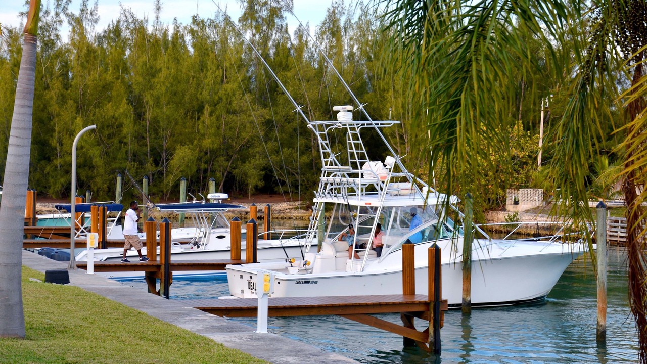 Photo of Others in Bahama Reef