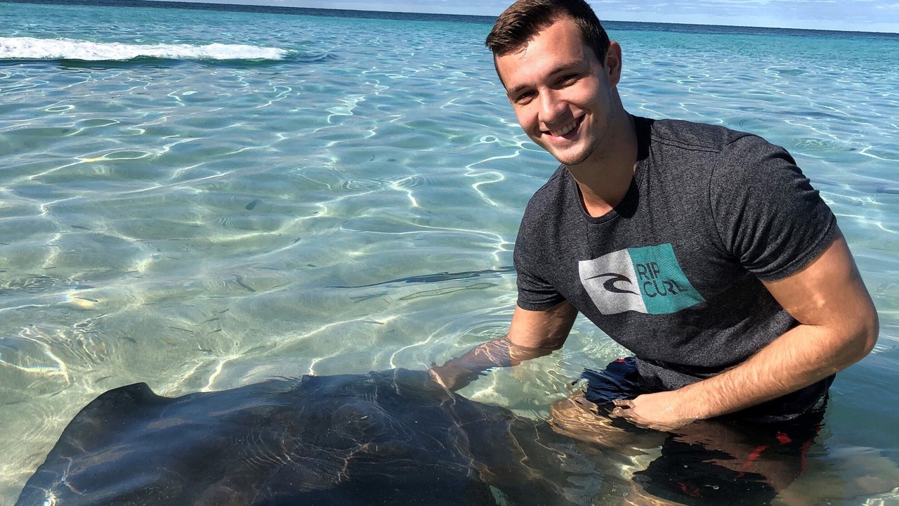 Photo of Others in Bahama Reef