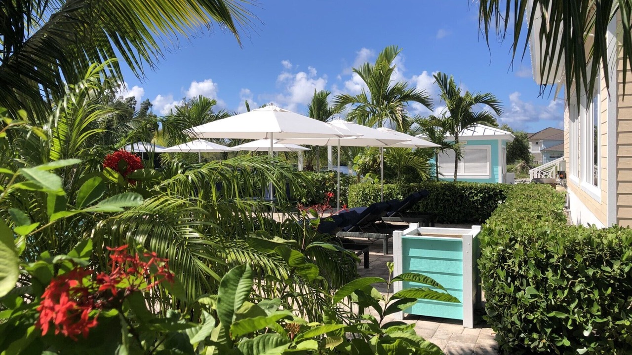 Photo of Outdoor in Bahama Reef