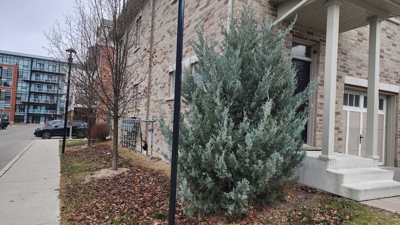 Photo of Outdoor in Mount Hope Huron Park