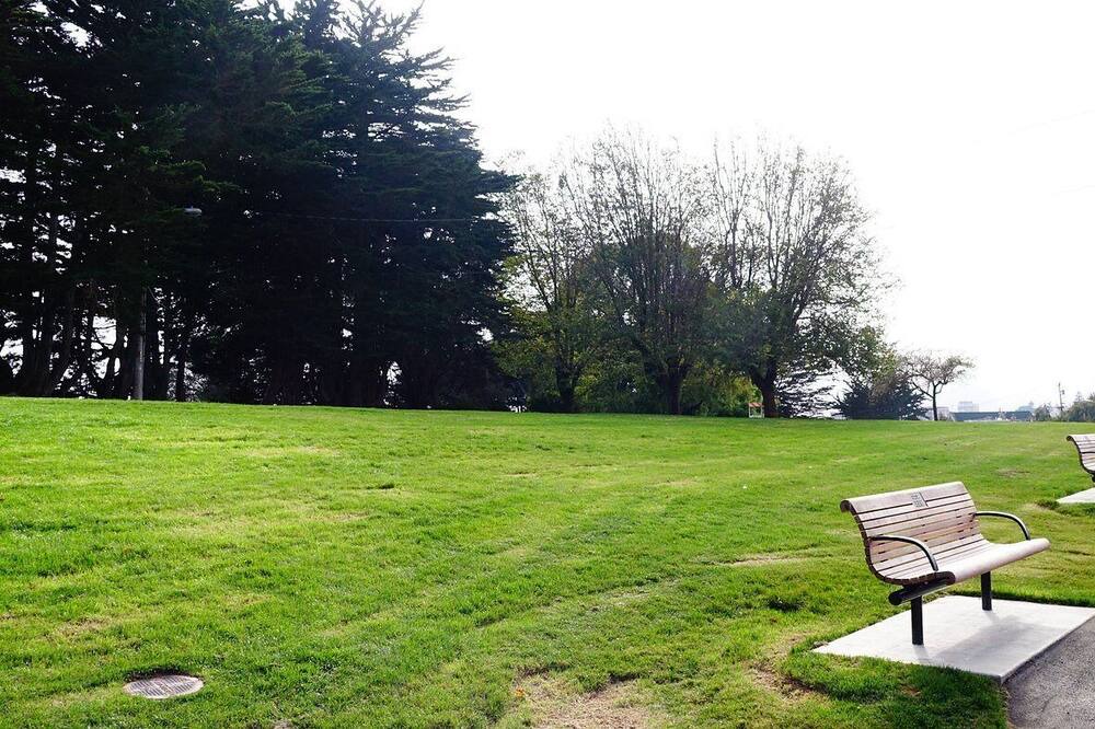 Photo of Outdoor in Lower Pacific Heights