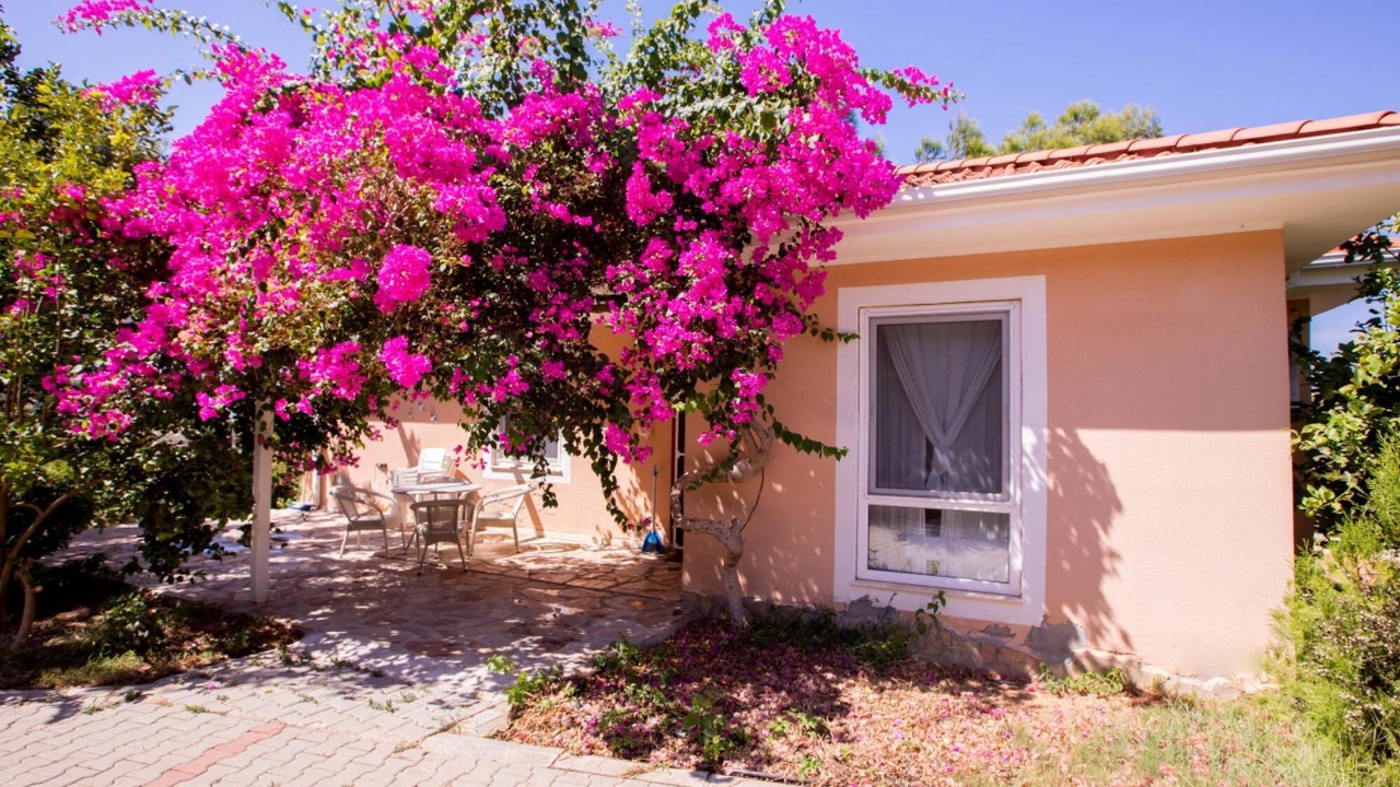 Photo of Outdoor in Faralya