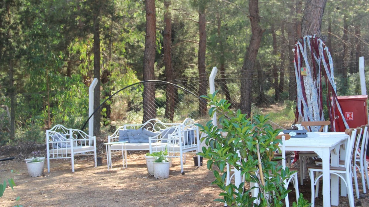 Photo of Outdoor in Selcuk