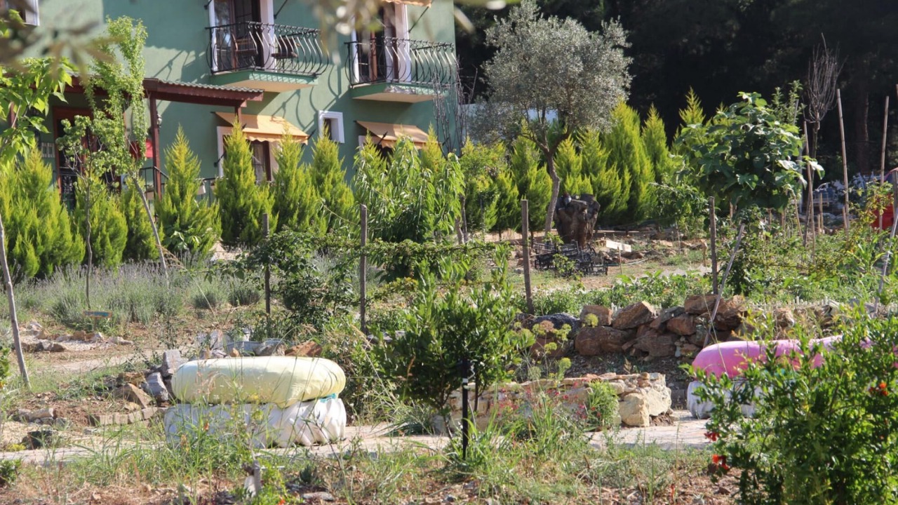 Photo of Outdoor in Selcuk