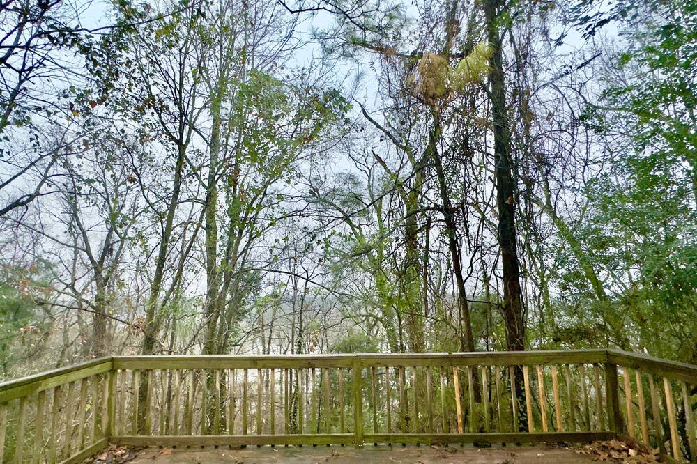 Photo of Outdoor in Alabaster