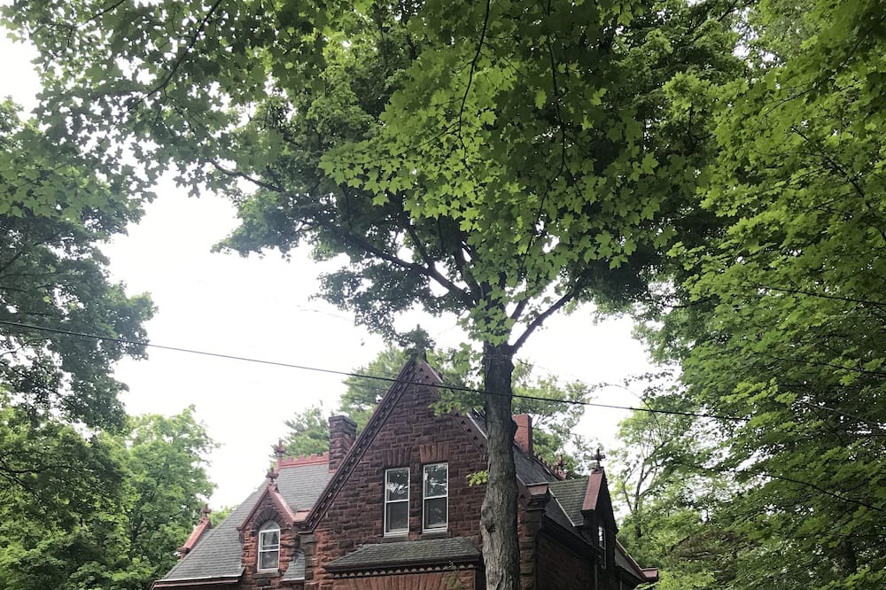 Photo of Outdoor in Fredonia