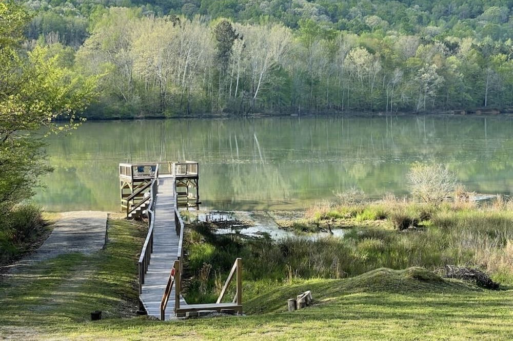 Photo of Others in Cedar Bluff