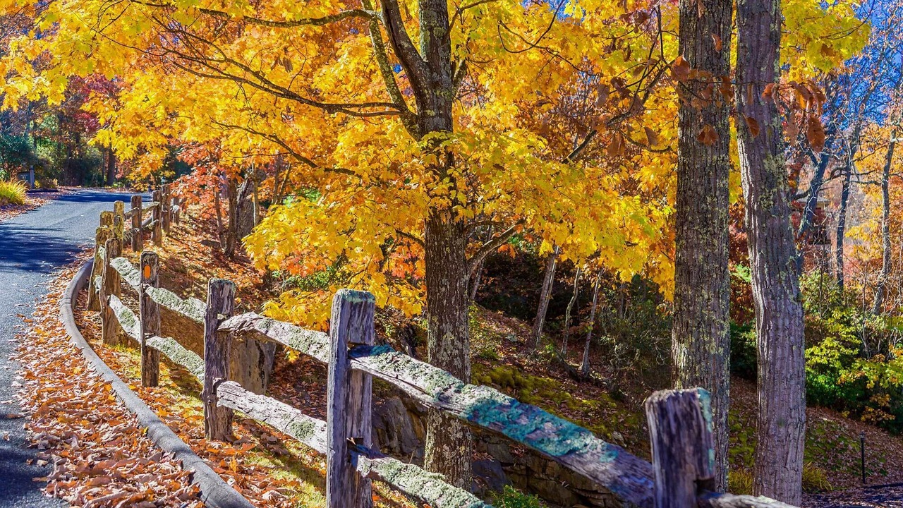 Photo of Outdoor in Mountain Air