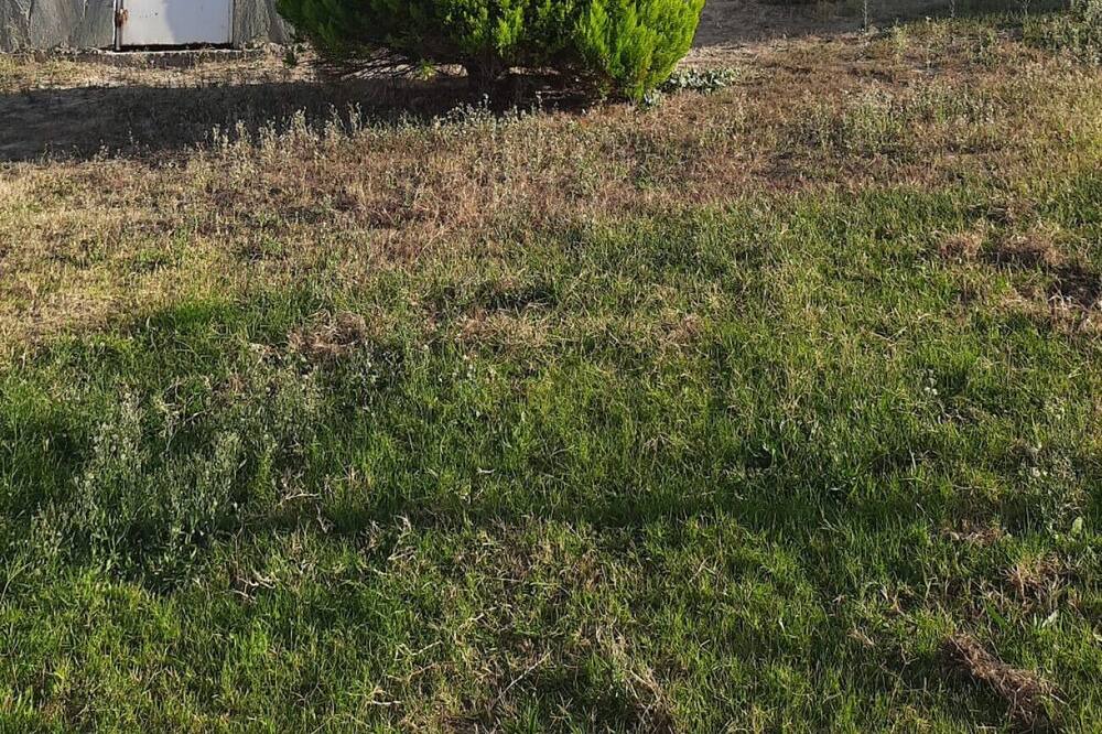 Photo of Others in Ildır Koyu