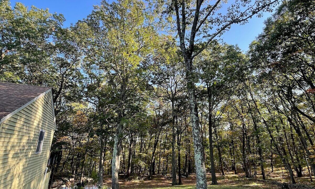 Photo of Outdoor in Monroe