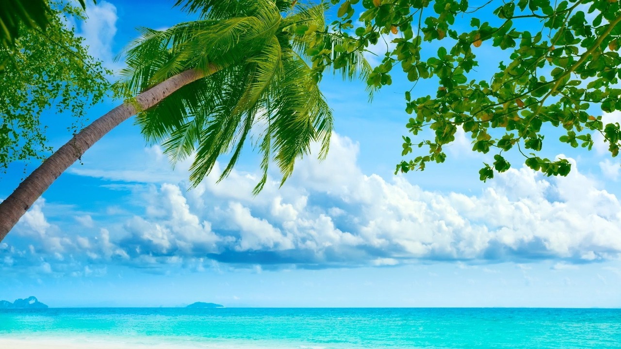 Photo of Outdoor in Anse Royale