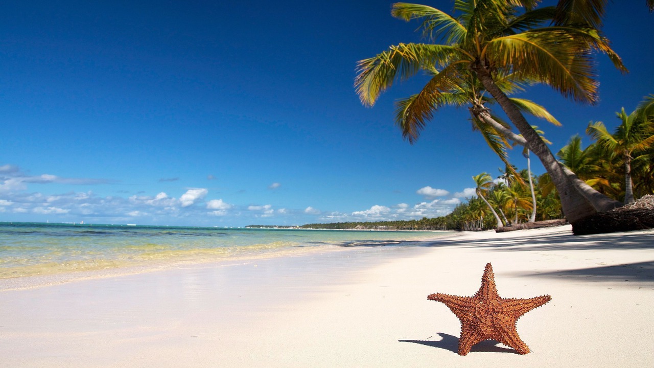 Photo of Outdoor in Anse Royale
