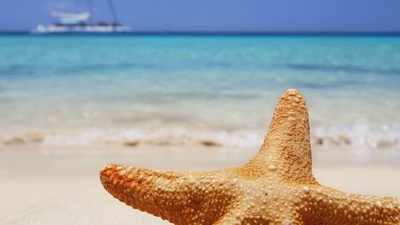 Photo of Outdoor in Anse Royale