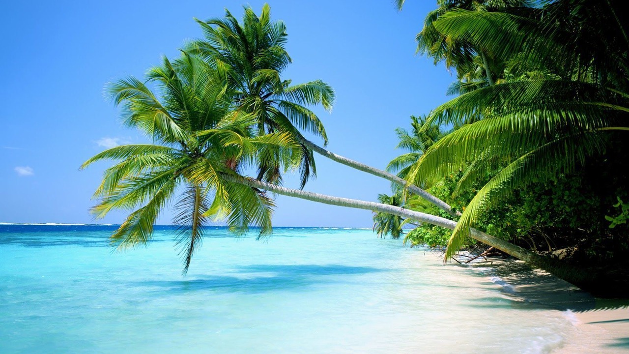 Photo of Outdoor in Anse Royale