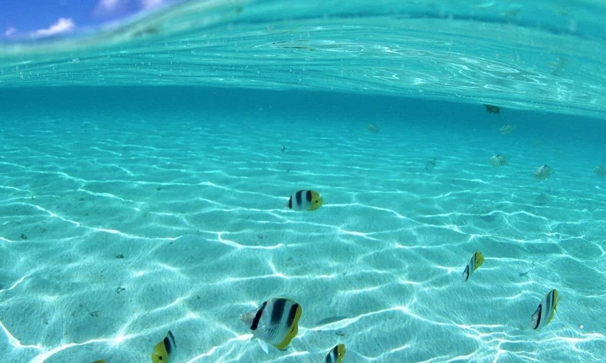 Photo of Outdoor in Anse Royale
