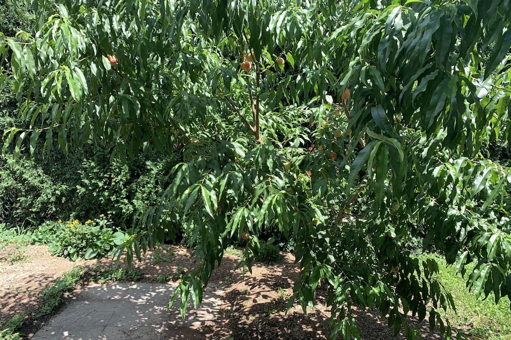 Photo of Outdoor in Rosemount