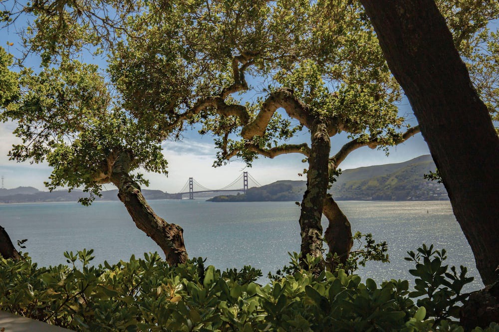 Photo of Others in Belvedere Tiburon