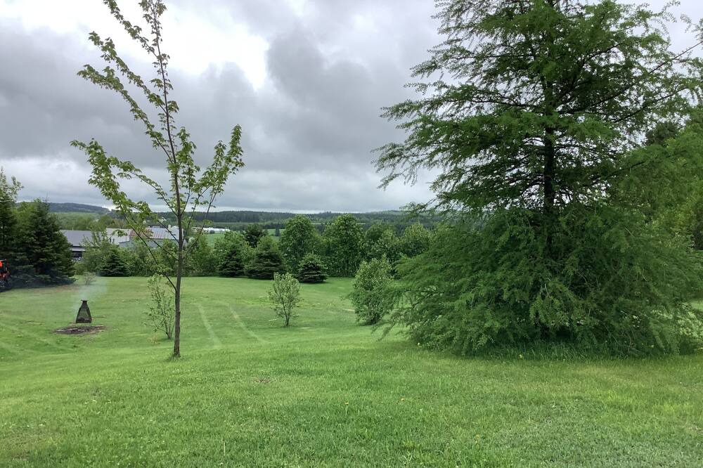Photo of Outdoor in Saint-Severin