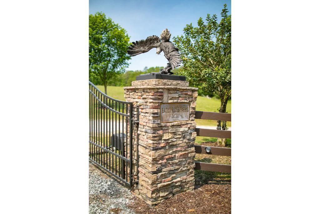 Photo of Outdoor in Duncanville