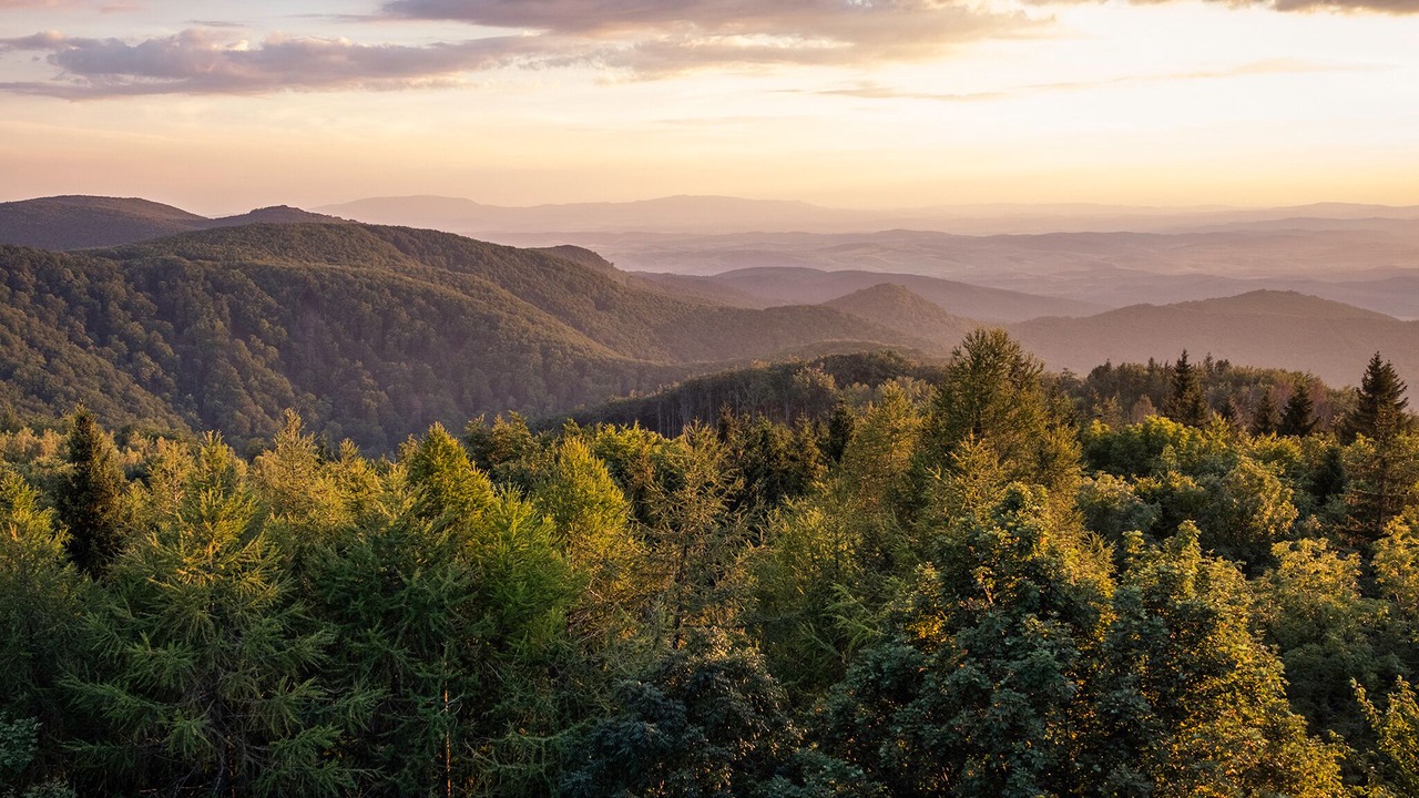 Photo of Outdoor in Nagyvisnyo