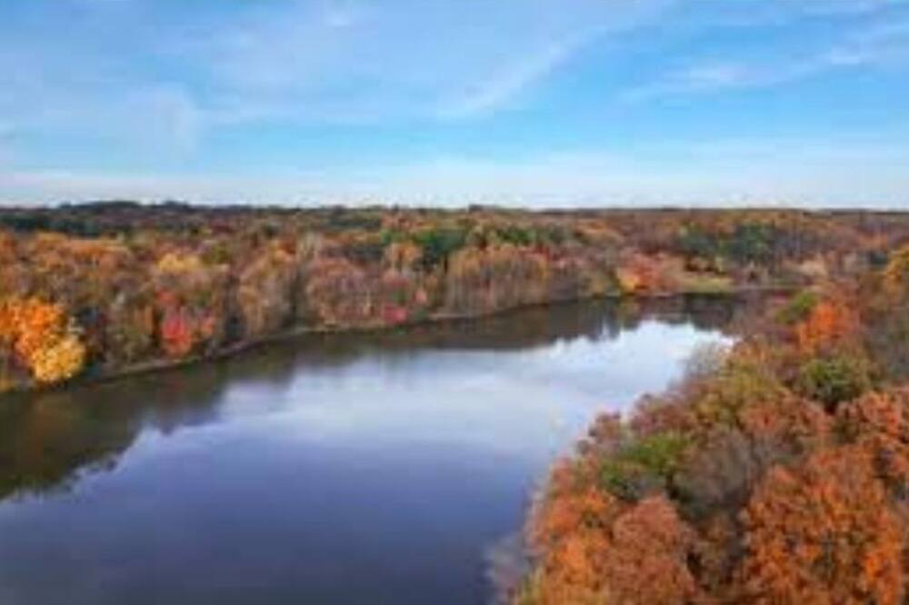 Photo of Others in West Seneca
