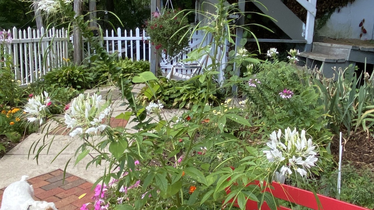 Photo of Outdoor in Swartswood