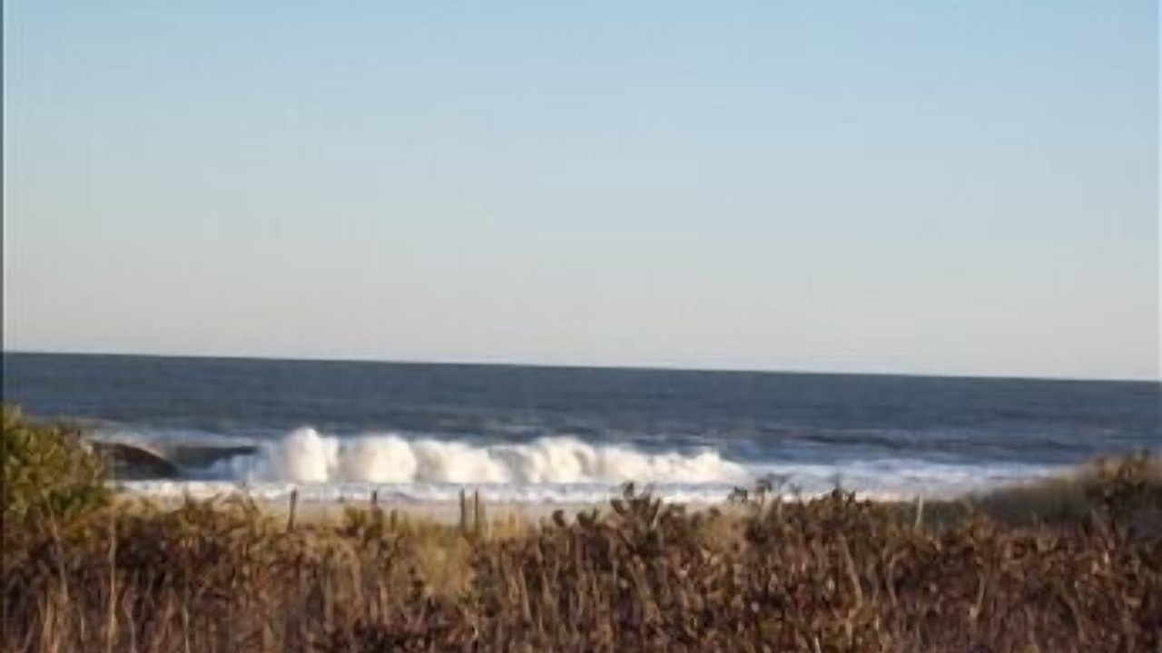 Photo of Others in Barnegat Light