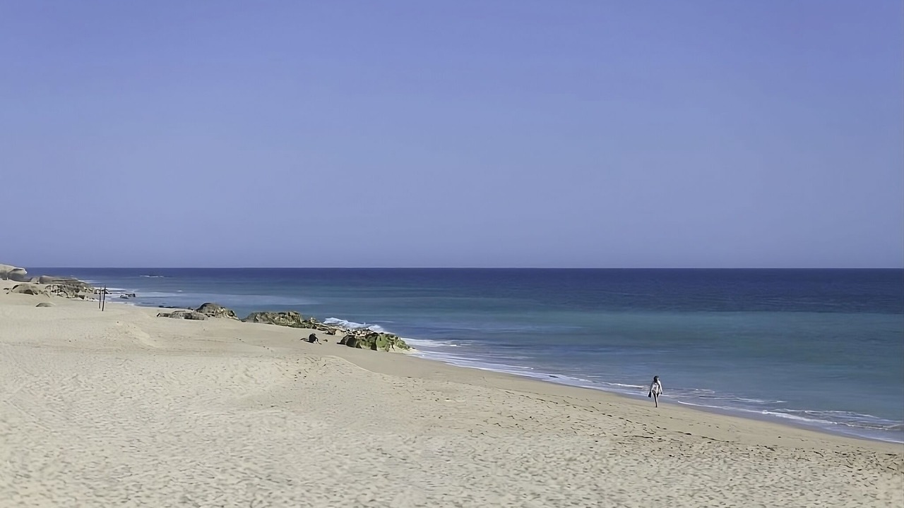 Photo of Others in Salgados