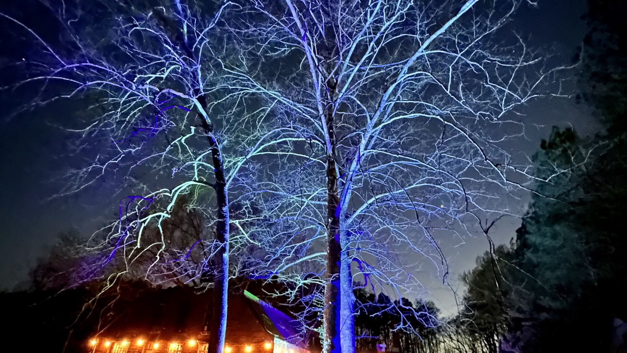 Photo of Outdoor in Wise