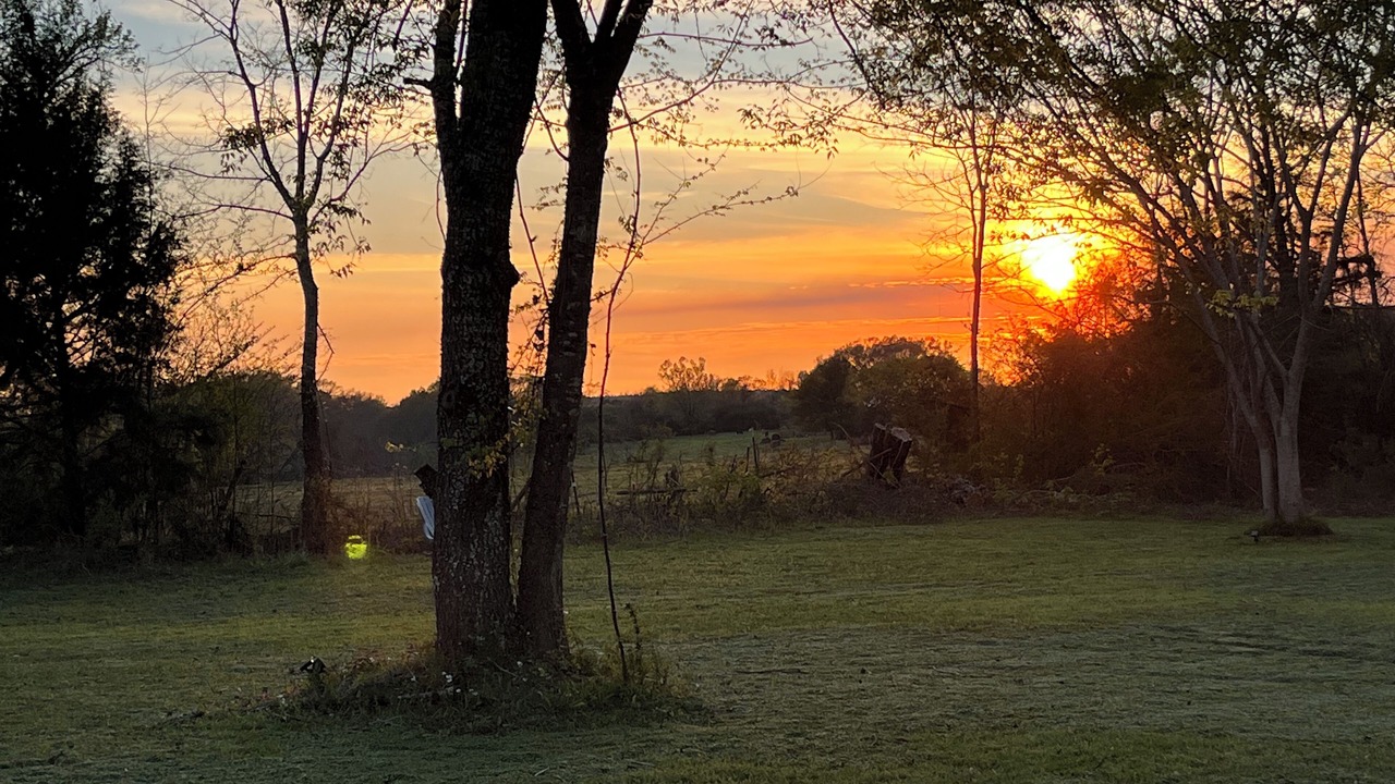 Photo of Outdoor in Moundville