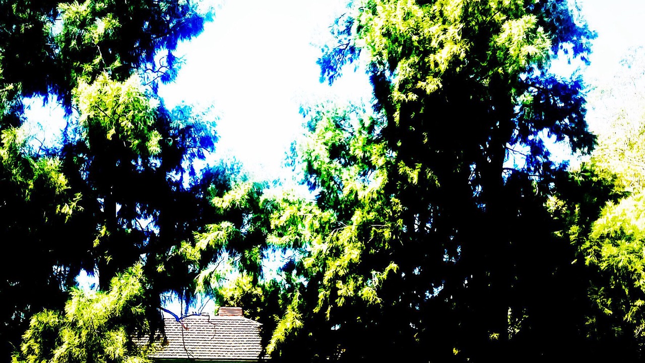 Photo of Others in Tocumwal