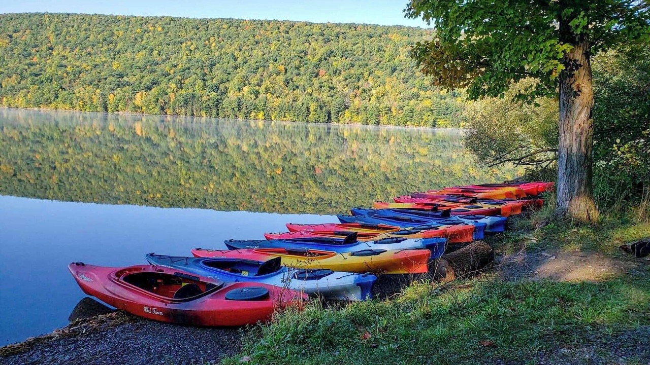 Photo of Others in Springwater