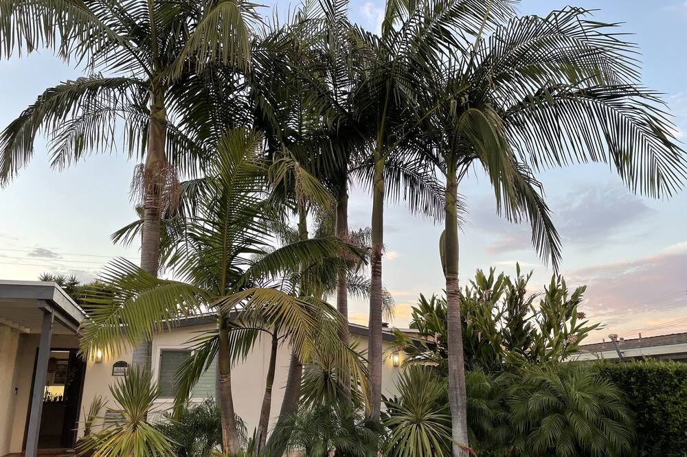 Photo of Outdoor in Downtown