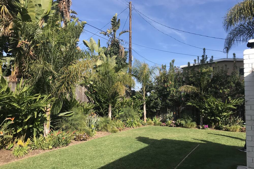 Photo of Outdoor in Downtown