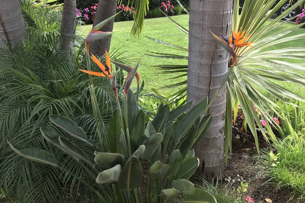 Photo of Outdoor in Downtown