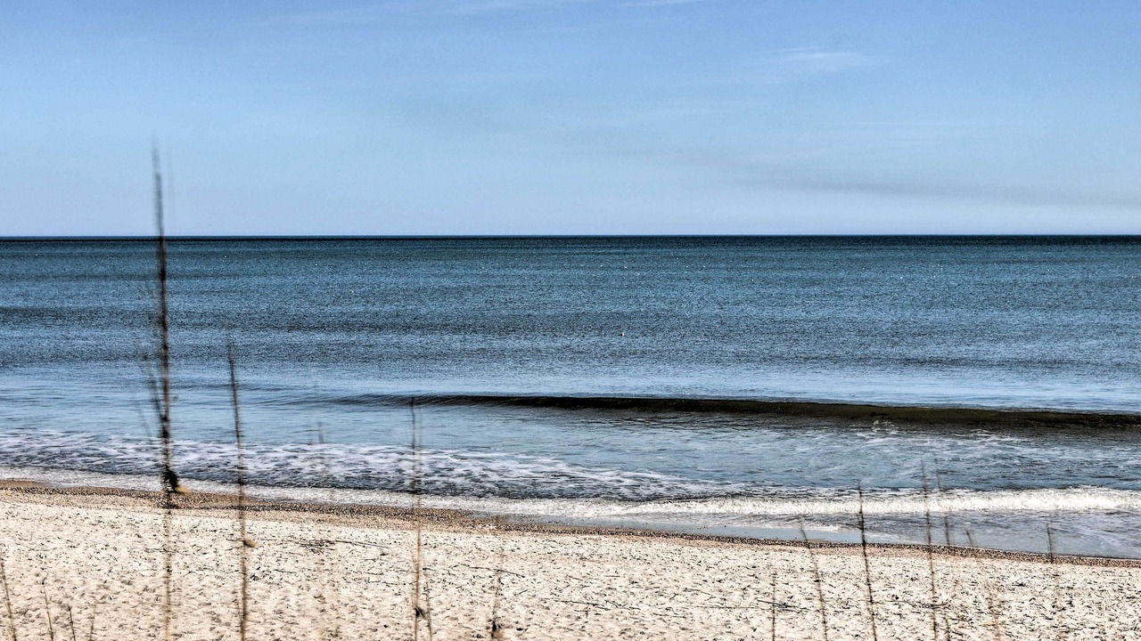 Photo of Others in Fernandina Beach