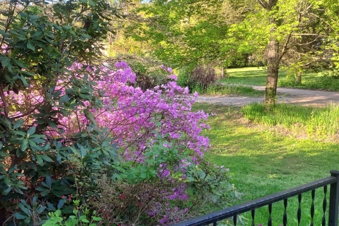 Photo of Outdoor in Cold Spring