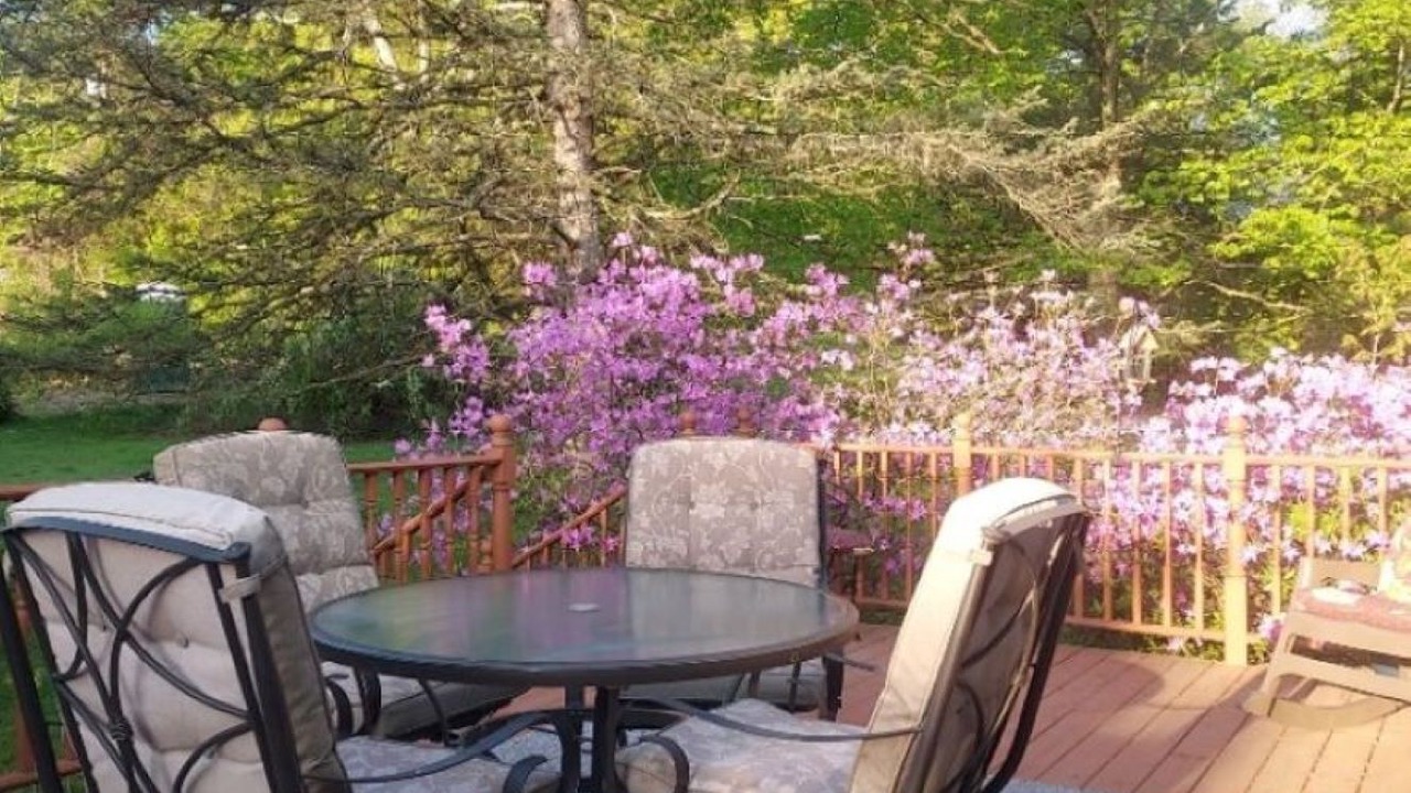 Photo of Outdoor in Cold Spring