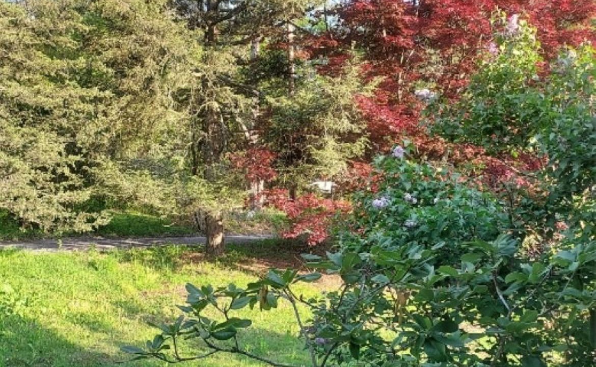 Photo of Outdoor in Cold Spring