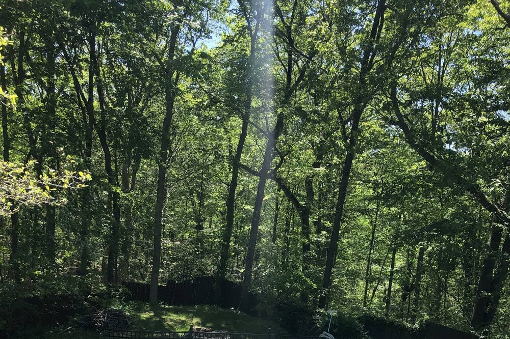 Photo of Outdoor in South Salem