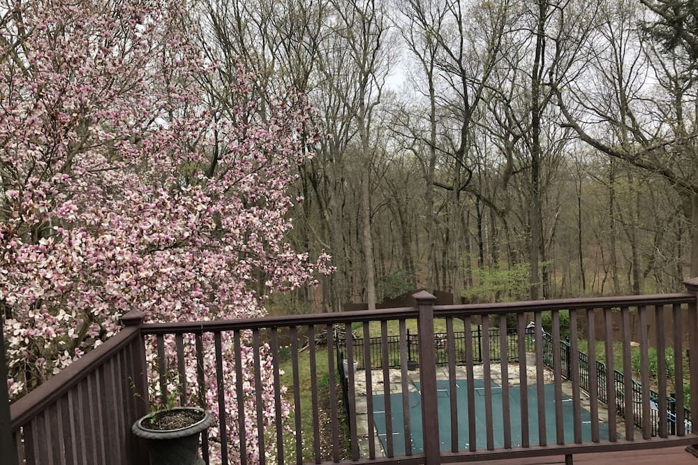 Photo of Outdoor in South Salem