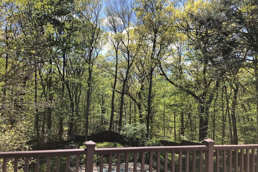 Photo of Outdoor in South Salem