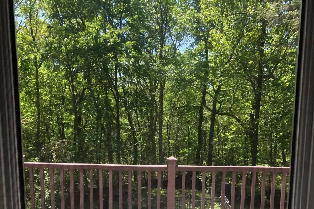 Photo of Outdoor in South Salem