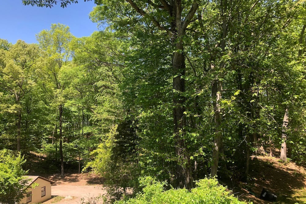 Photo of Outdoor in South Salem