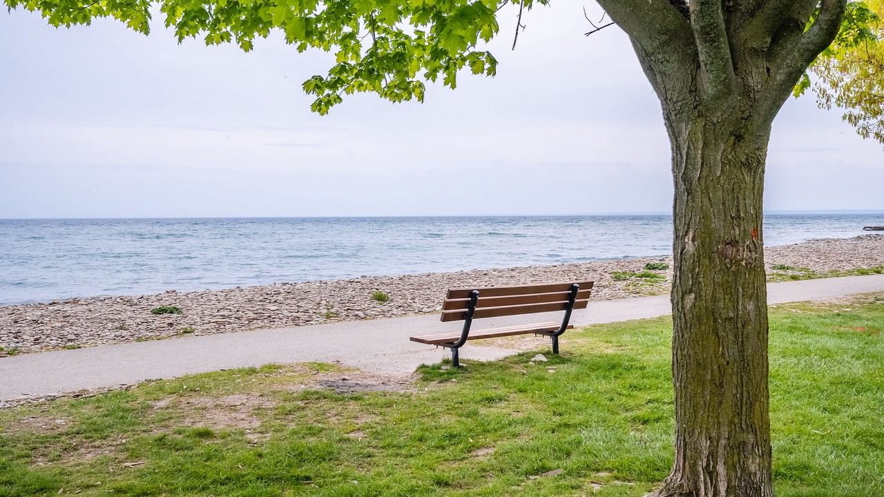 Photo of Outdoor in West Oakville
