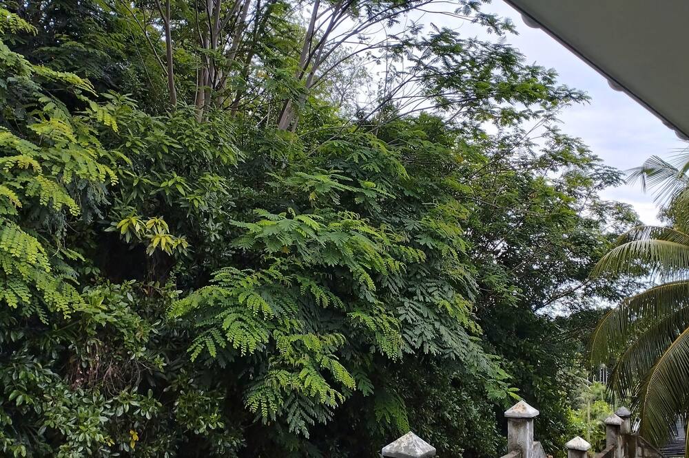 Photo of Patio Balcony in Anse Forbans