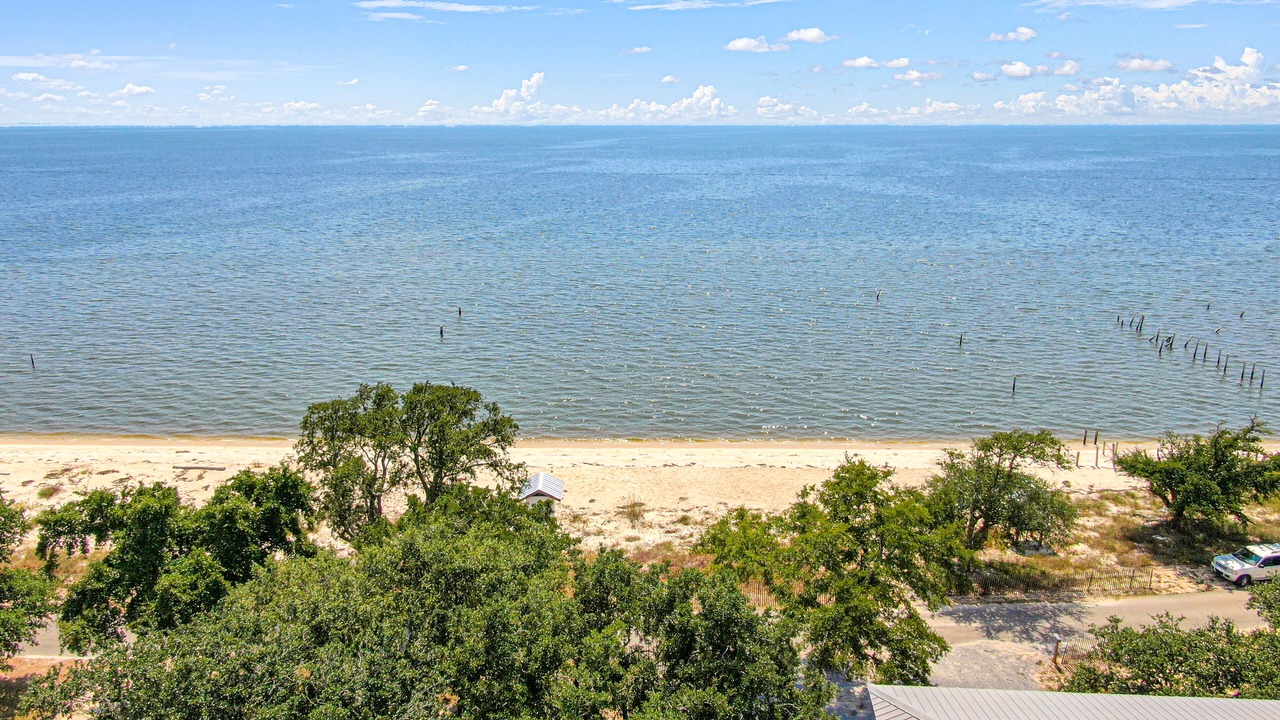 Photo of Others in Ocean Springs