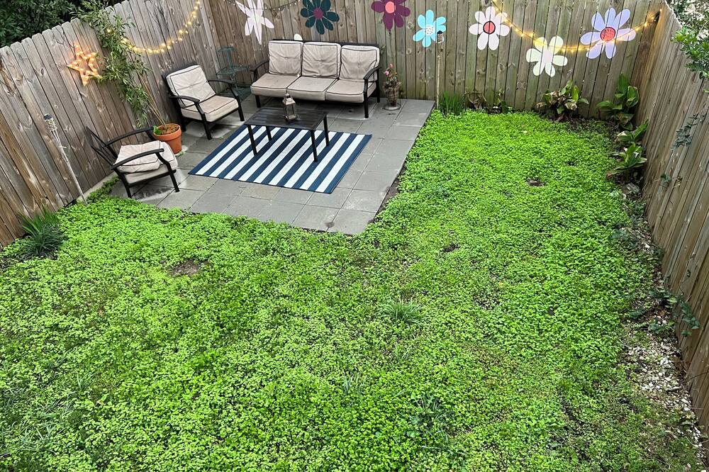 Photo of Outdoor in Vicksburg
