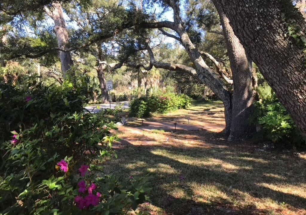 Photo of Outdoor in East Pensacola Heights