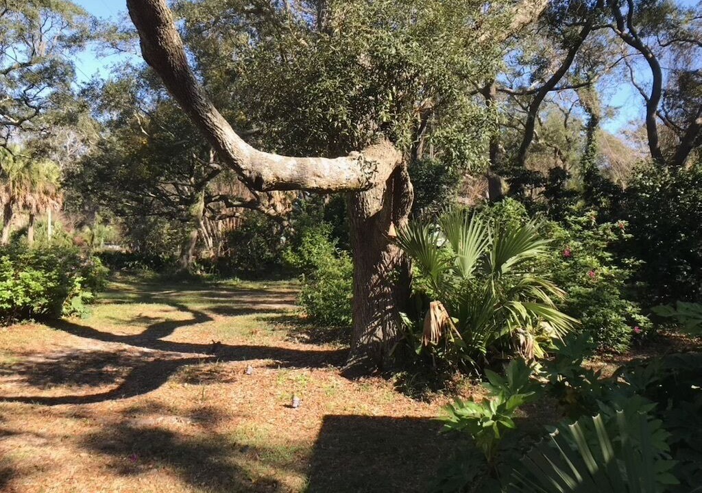 Photo of Outdoor in East Pensacola Heights